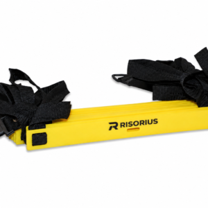 agility ladder economy